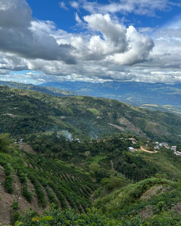 Finca Perú