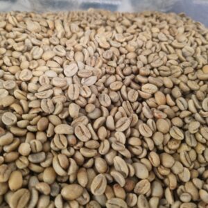 PERU GEISHA NATURAL