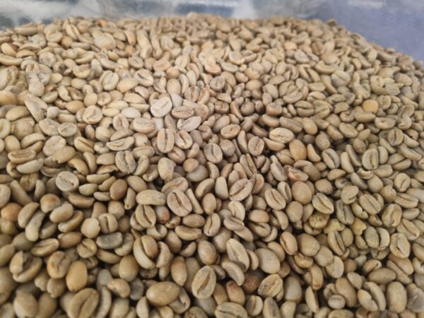 PERU GEISHA NATURAL