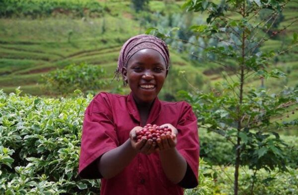 Ruanda Finca